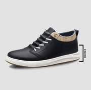 Finn Cotton Black / 36 Zenith 2.5 Zenith 2.5